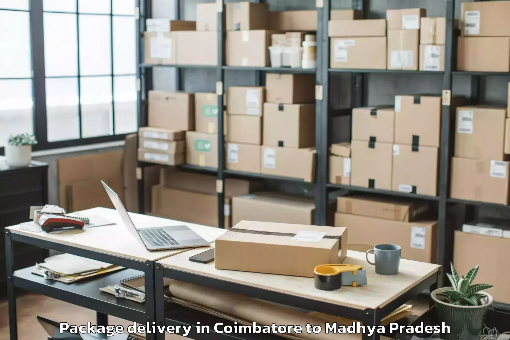 Comprehensive Coimbatore to Guna Airport Gux Package Delivery